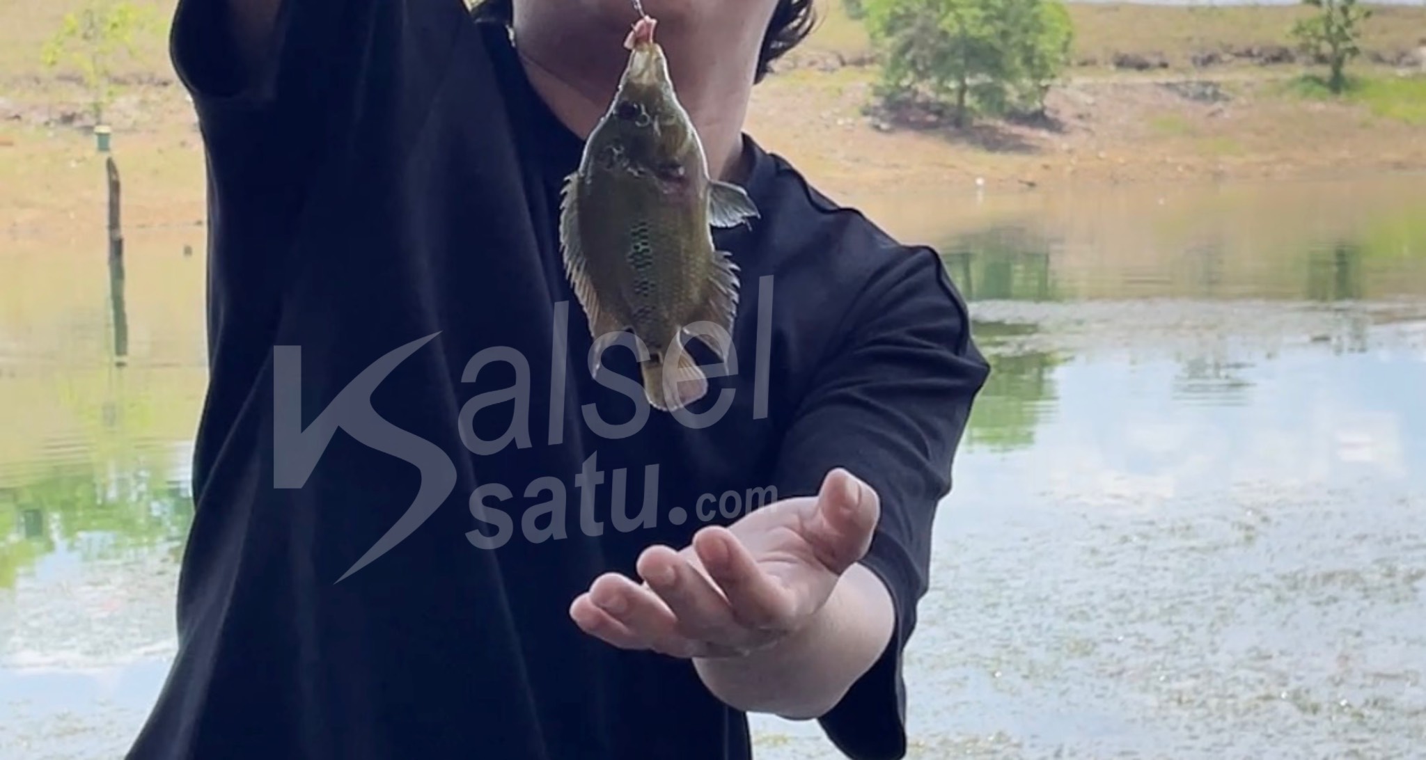 Ikan Louhan Ditemukan Pemancing di Waduk Riam Kanan. (Foto : Kalselsatu.com)